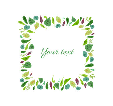 Vector doodle multicolor hand drawn frame from green leaves. Various leaves on white background. Background for textile or book covers, manufacturing, wallpapers, print, gift wrap.