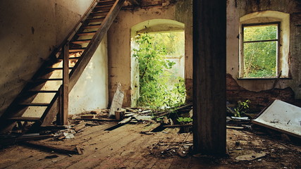 Raum mit einer Leiter in einem verlassenen und verfallenem Industrie Gebäude mit wild wachsenden...