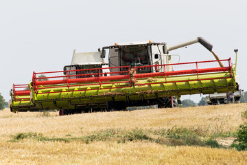 Fototapeta premium Ernte