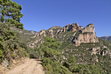 Fototapeta na wymiar Benifassa. Natural park north of the Valencian Community