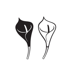 Vector Calla lily flower isolated on white background. Icons.