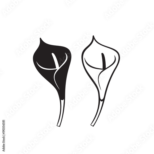 "Vector Calla lily flower isolated on white background. Icons." Stock