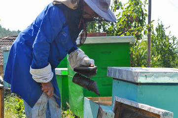 Beekeeper is working with bees and beehives on the apiary. Beekeeper with smoker controlling beehive and comb frame