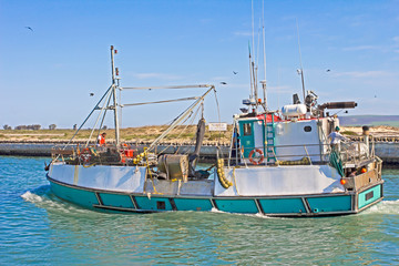 Green and white fishing boat laden with fish, South Africa