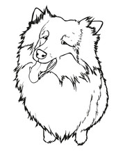 Black and white lineart of rough collie, cartoon