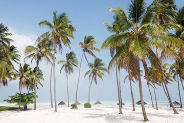 Fototapeta na wymiar White sand beach with palm trees, Zanzibar, Tanzania