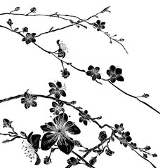 Cherry Blossom Flowers Background Pattern