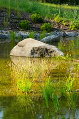 Fototapeta na wymiar Natural swimming pond or natural swimming pool - NSP - purifying water without chemicals through biological filters and plants