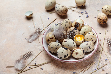 Fototapeta na wymiar Fresh quail eggs decorated with feather. Organic food. Rustic style.