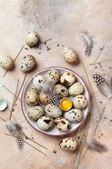 Quail eggs decorated with feather. Organic food. Rustic style. Top view.