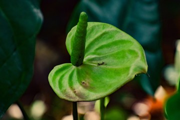 My Captures By Nikon D5300