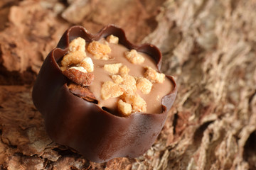 Pralines