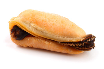 One mussel without shell isolated on white background