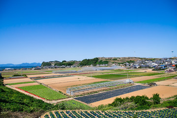 Fototapeta na wymiar 日本の農業