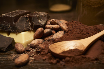 cocoa beans and powder, pieces of dark and white chocolate