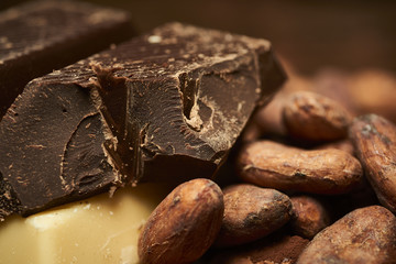 cocoa beans and powder, pieces of dark and white chocolate