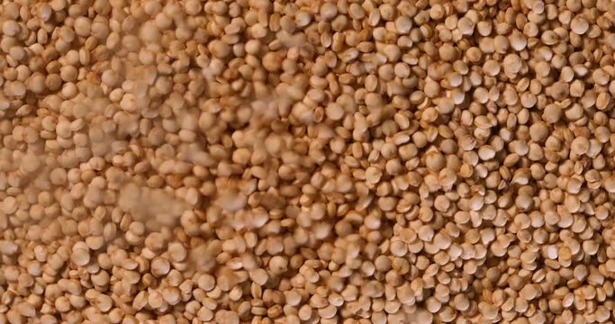 Close up white  quinoa seeds , a gluten free superfoods with high protine , anioxidant and fiber , 4k Dci resolution