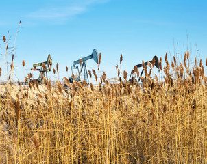 Autumn landscape with oil pumping units and dry reed