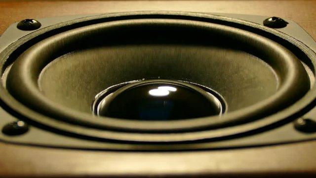 The speaker vibrates from the music. Sounds loud music in the disco. Subwoofer movement.