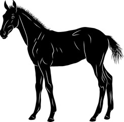 A sketch of a foal, standing calmly and looking into the distance.