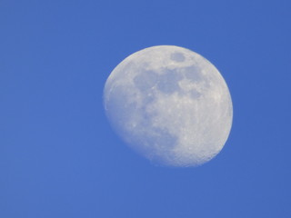 Luna, el único satélite natural de la Tierra vista en un dia claro