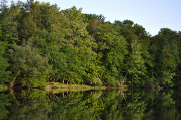 Calm Lake with Trees Reflecting in the Water