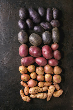 Variety of raw uncooked organic potatoes different kind and colors red, yellow, purple in row over dark texture background. Top view, space