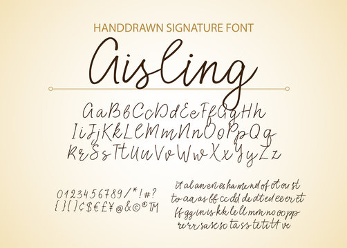 Modern calligraphic font. Brush painted letters.