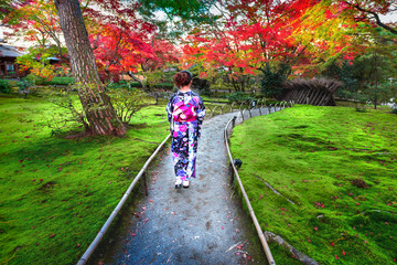 Japanese people with Kimono enjoy fall .