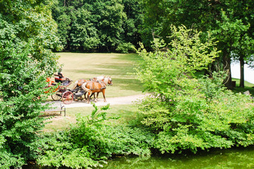 horse carriage ride in park in summer
