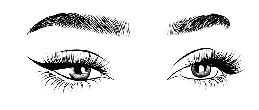 Hand-drawn woman's sexy luxurious eye with perfectly shaped eyebrows and full lashes. Idea for business visit card, typography vector. Perfect salon look