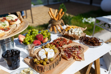 Salty and cheese bar of several kinds of cheese, grapes, olives, jamon, honey, nuts and snacks decorated on vintage wooden table. Wedding or other holiday party outdoors, picnic