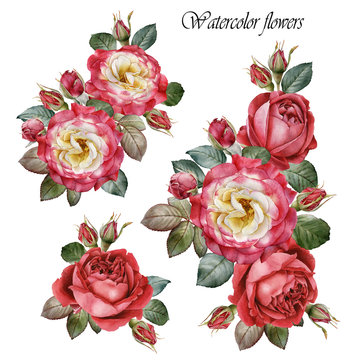 Bouquet of roses. Flowers set of watercolor red roses