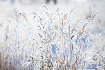 Winter background, blurred snow field landscape.