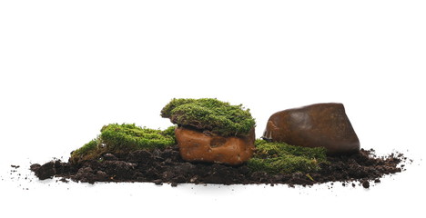 Green moss and pile dirt isolated on white background, with clipping path
