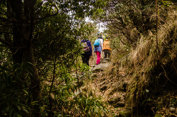 Obraz premium Girls hiking and passing through woods