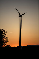 Obraz premium Wind Power Stations in the Evening Sun