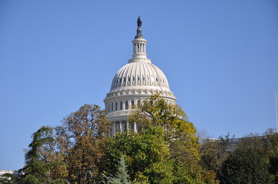 The Capitol in a green frame.
The Capitol is fine in any frame.
