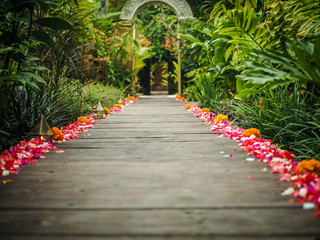 flowery wooden pathway with green tropical plants