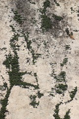 Background cement