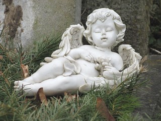 Engel