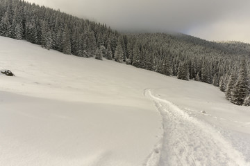 Winter mountain trail on Rusinowa Glade. Tatry.