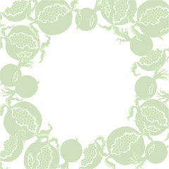 Soft fruit design element . Green slice of pomegranate on a  white background.