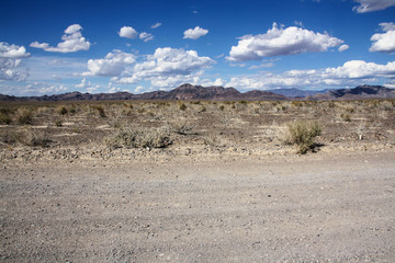 Mojave Desert Landscape