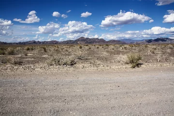 Fotobehang Mojave Desert Landscape © srogiers