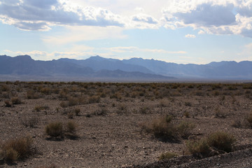 Mojave Desert Landscape