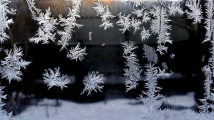 frost patterns on glass