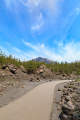 有村溶岩展望所 遊歩道 -桜島 大正溶岩原に作られた360度広がる眺望の展望所-