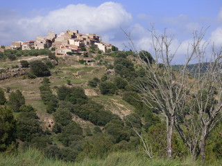 Tinensa de Benifasar es un municipio de la Comunidad Valenciana, España. Situado en la provincia de Castellón y en la comarca del Bajo Maestrazgo