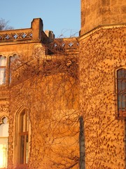 Schloss bei Dresden